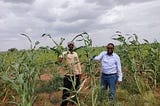 What it takes to make Somalia’s main crops climate smart