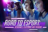 Road to the Esports (CS:GO)