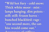 “Wild hot fury — cold snow: Thick white moor — mist — lamps hanging. dim points — still: still: frozen leaves — bunched blackbird: rage — “one second more, the cat-hiss would come out.” Awareness of stifling smothering fury — walk in white blank world.”