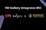 FM Gallery Expands to Binance Smart Chain