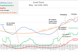 Covid: Did Lockdowns help?