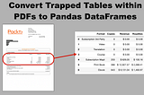 Convert Trapped Tables within PDFs to Pandas DataFrames