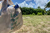 Five Unexpected Lessons Learned While Cleaning Litter Daily
