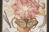 The Sybarite Newsletter: The Power of Snails and Fifteen Minute Cities