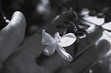 ‘to hold, you must first open your hand’ (Lao Tzu)
