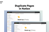 How to duplicate pages in Notion — Notion Basics Tutorial