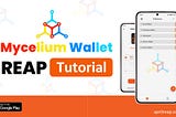Backing up your Mycelium Wallet Seed Phrase using REAP