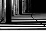 Shadow Self