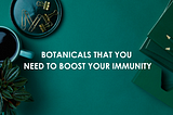 The best herbs to boost your immunity
