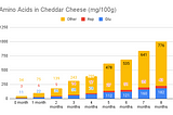 Cheese Aging and Umami