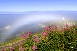 A Fogbow