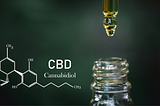 The Role of CBD in Pain Management: An In-depth Analysis
