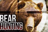 Bitcoin Fundamentals Suggest it’s Bear Hunting Season