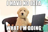 meme with a dog sitting at a computer not knowing what it is doing