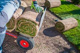 What Is Turf Installation?