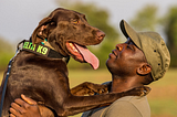 International Dog Day: Canines on the Conservation Front Line