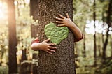 Cuckoo World