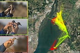 New studies of birds in the Tagus Estuary could compromise Montijo airport