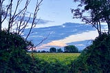 A cornfield in West Sussex near Birdham, England