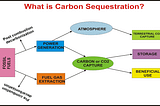CARBON SEQUESTRATION IN THE SOIL BY USING BIOCHAR