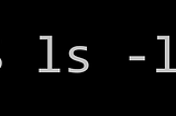 What happens when you type ls -l in the shell