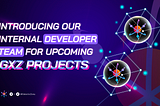 Introducing Our Internal Developer Team for Upcoming GXZ Projects!