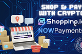 Revolutionizing Online Shopping: NOWPayments Integration on Shopping.io