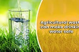 Innovative use of Agricultural Waste for arsenic removal from drinking water