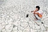 Farmer suicides in India