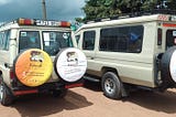 5 Days Luxury Tanzania Safari Experience.
