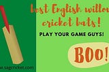 English Willow Cricket Bat Top 6 Securite You should Know