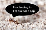 An ant carrying a grain of sand with a speech bubble that says, “Fuck leaning in. I’m due for a nap.”
