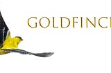 Goldfinch.Криптозаймы без залога. Возможно ли это?