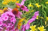 A bouquet of sunflower, echinacea, garden flox, and cosmos