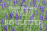 Christopher Strong Bicycle Gourmets Treasures of France Newsletter