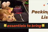 🎒 #MuChiangMai Packing List 🎒