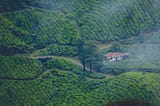Why Kerala is unique from the rest of the world, The world's best tourist place.