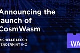 Announcing the launch of CosmWasm