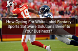 White Label Fantasy Sports Software Solutions