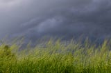 A snapshot of dark grey clouds over a field of grass swaying in the wind