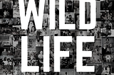 wild life podcast logo