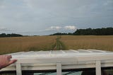 Photo of the plains of Africa taken from the back of an open-aire vehicle.