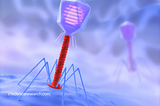 Breakthrough Bacteriophage Therapies: Transforming the Fight Against Antibiotic-Resistant…