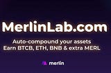 Strategic Plans Of Merlin Labs