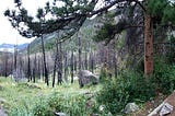 Cub Creek — RMNP