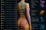 Your Skin Is Trying to Tell You Something. Are You Listening?