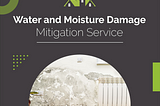 Water and Moisture Damage Mitigation Service