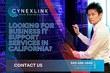 Looking for Business IT Support Services in California?