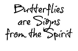 Spiritual Meaning Of Color In Butterflies