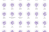 Visualizing the Rule of Law